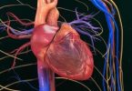 Kalp Hastalıklarında Kök Hücre Tedavisi