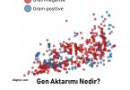 Gen Aktarımı Nedir?