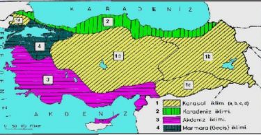 Karadeniz iklimi ve Özellikleri Liste Halinde