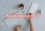 kanıksama nedir