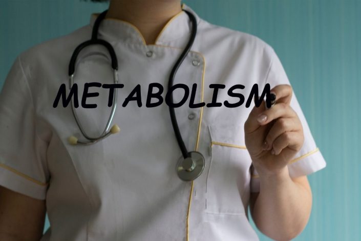 metabozlizma hızı